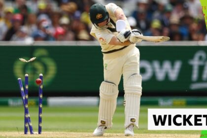 'Absolutely cleans him up!' - Tongue bowls Smith