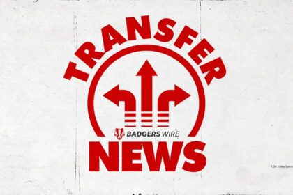 Former Wisconsin safety to reenter NCAA transfer portal