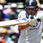 'Brainless' Smith wicket 'sums up' England's Ashes
