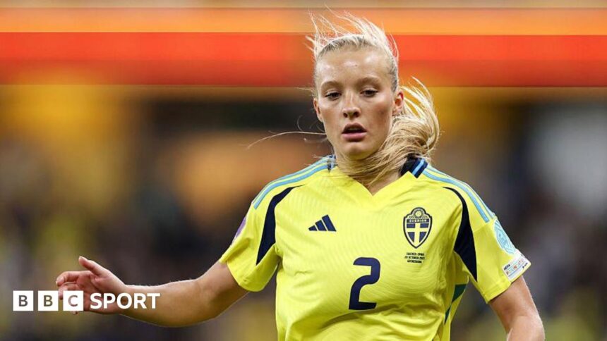 Arsenal sign Sweden teenager Holmberg