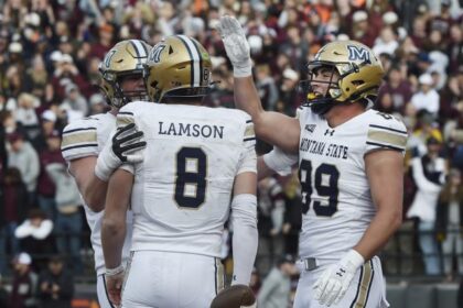 Montana State vs. Illinois State channel, time, schedule, live stream to watch FCS championship game