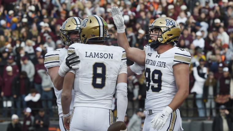 Montana State vs. Illinois State channel, time, schedule, live stream to watch FCS championship game