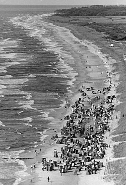 NASCAR Commissioner Steve Phelps resigns after over 20 years with the organization