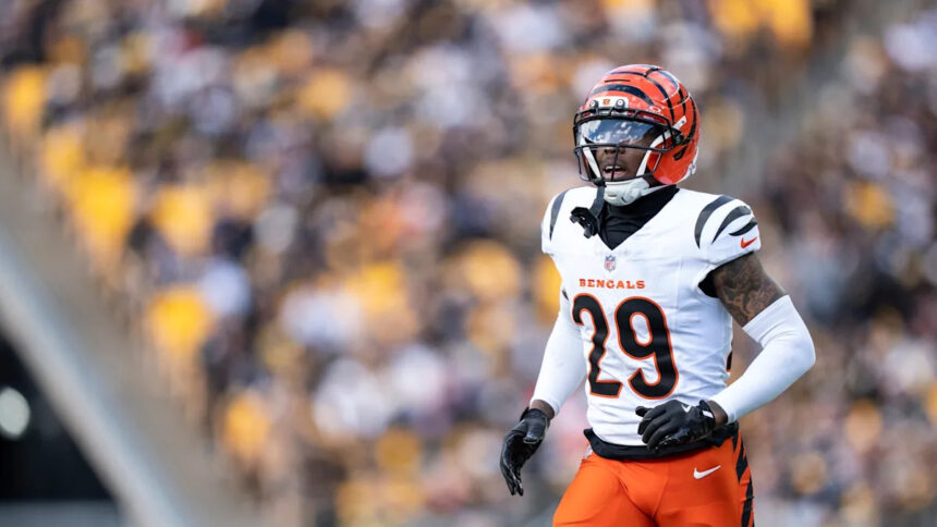 Bengals CB Cam Taylor-Britt sentenced to five days in jail