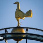 Fans accuse Spurs of 'dramatic fall in ambition'