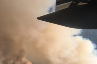 C's Brown rips refs after loss: 'I'll take the fine'