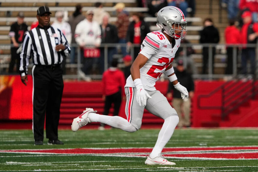 Former Ohio State safety announces transfer desitination