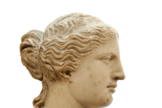 Coco, Venus could meet early at Australian Open