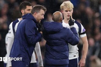 Premier League leads call for temporary concussion subs