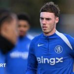 Palmer 'very, very happy' at Chelsea, says Rosenior