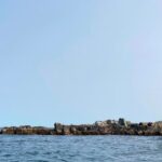 Patriots beat Broncos in near blizzard to book Super Bowl spot