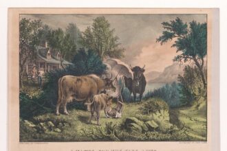 IND vs NZ: Sanju Samson's Vizag T20I ends in another missed opportunity