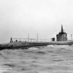 Salmon: Why I don't think Djokovic will win Grand Slam No 25