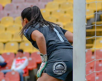 NFL to play first game in Paris, return to Madrid