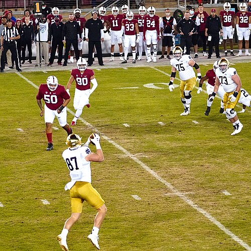 NFL have no plans for ICE immigration enforcement at Super Bowl