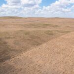 MLB Owners Are Killing the World Baseball Classic