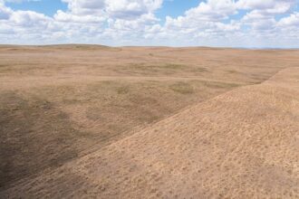 MLB Owners Are Killing the World Baseball Classic