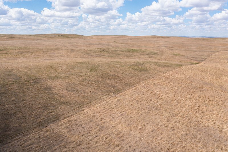 MLB Owners Are Killing the World Baseball Classic