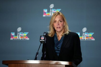 No US immigration agents at Super Bowl: security chief