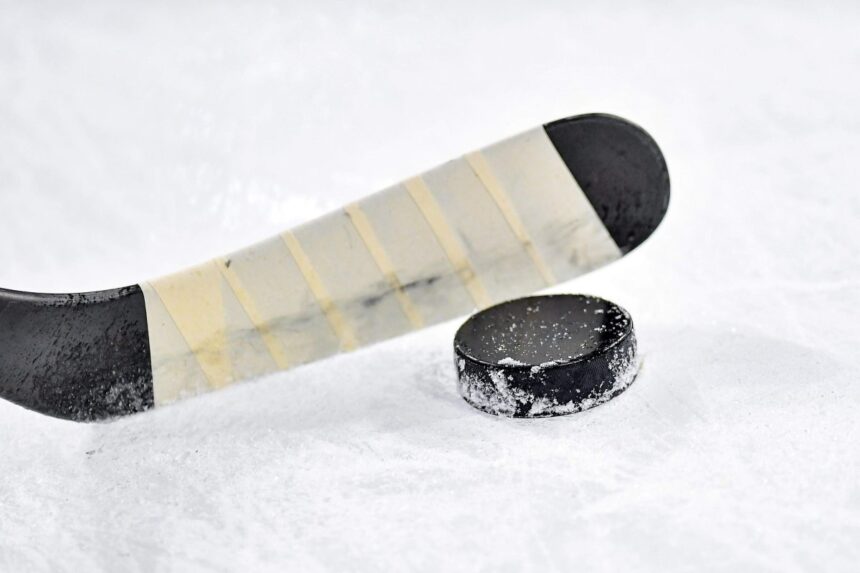 Top NHL prospect Gavin McKenna faces assault charges