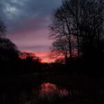 Raducanu books Transylvania Open semi-final spot with straight-sets win