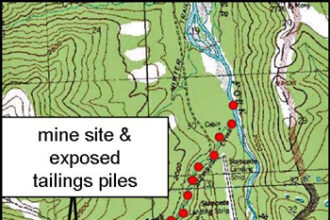 Stampede Survey: Predict the Super Bowl LX winner