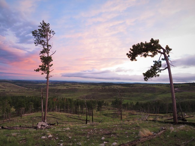 Hot Lightning enter Olympic break by blasting Panthers