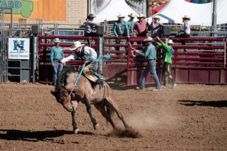 Gotterup beats Matsuyama in Phoenix Open play-off with Scheffler tied third