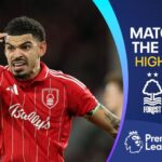 Wasteful Forest held at home by Wolves