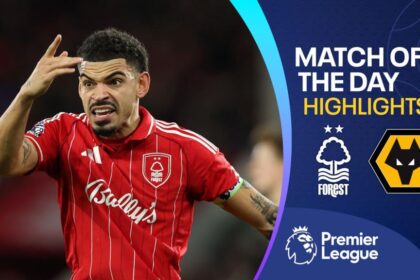 Wasteful Forest held at home by Wolves