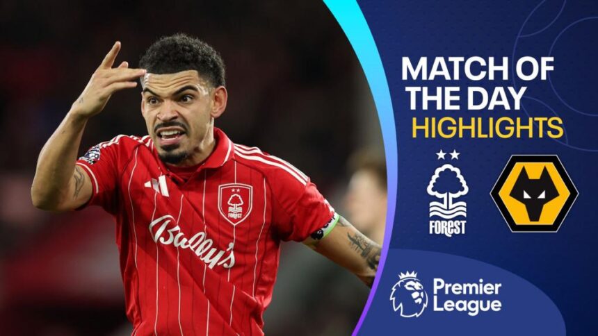 Wasteful Forest held at home by Wolves