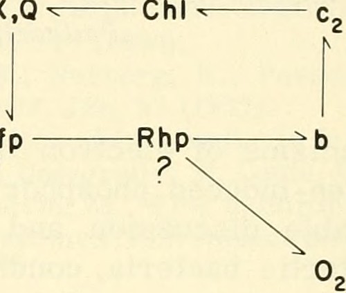 Reports: RHP Zac Gallen returns to D-backs on 1-year deal