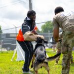 Will Jacks stars as England seal Super Eights spot with 24-run win vs Italy