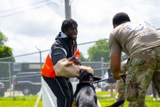 Will Jacks stars as England seal Super Eights spot with 24-run win vs Italy