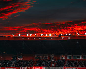 Mansfield host Arsenal and Man City travel to Newcastle in FA Cup fifth round