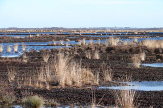 Peters: Hull KR 'striving' for World Club Challenge success against Brisbane