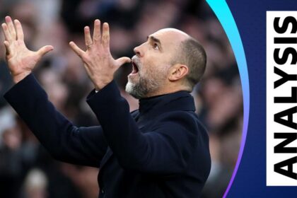 Referee disallowed Spurs goal for 'soft' push - Given