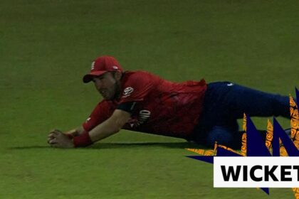 Overton takes 'fabulous' catch to remove Salman