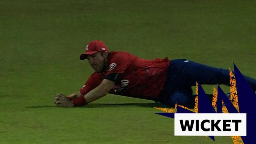 Overton takes 'fabulous' catch to remove Salman