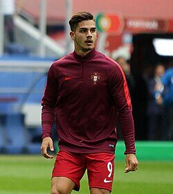 New Zealand knock Sri Lanka out of T20 World Cup, Pakistan in huge trouble as well