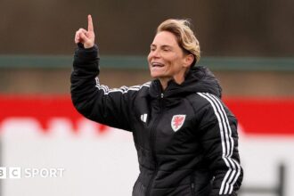 Wales 'grateful' to have Fishlock on board