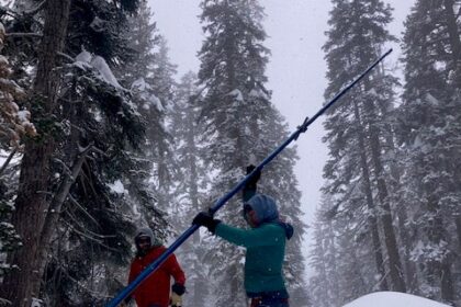 Sources: Last year for Gillispie at Tarleton State