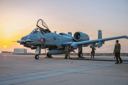 Ahmed 'ups the ante' and 'adds value' in dream T20 World Cup debut