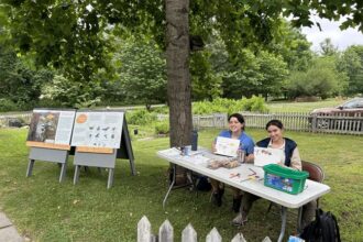 Hurley's ASU upsets Kansas in possible send-off