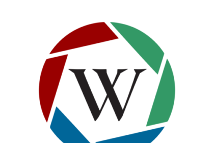 Finn Allen powers New Zealand into T20 World Cup final with record century: In Stats