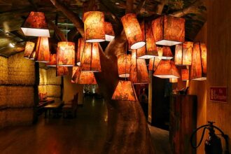 At the top together: Samson backs Abhishek Sharma to fire in T20 World Cup final