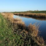 SEVEN-try Scotland blow title race open as France Grand Slam goes up in smoke