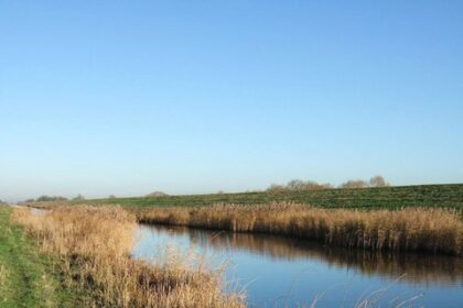 SEVEN-try Scotland blow title race open as France Grand Slam goes up in smoke