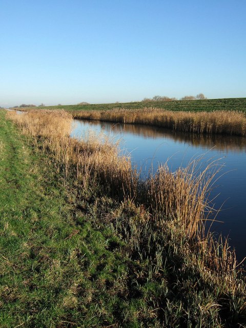 SEVEN-try Scotland blow title race open as France Grand Slam goes up in smoke