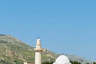 India have ruined cricket: Salty Shoaib Akhtar reacts to one-sided T20 World Cup win